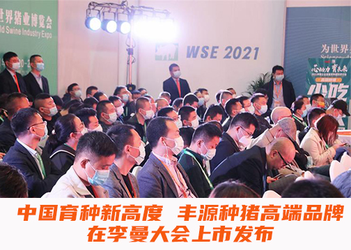 深度报道丨中国育种新高度 丰源种猪高端品牌在李曼大会上市发布
