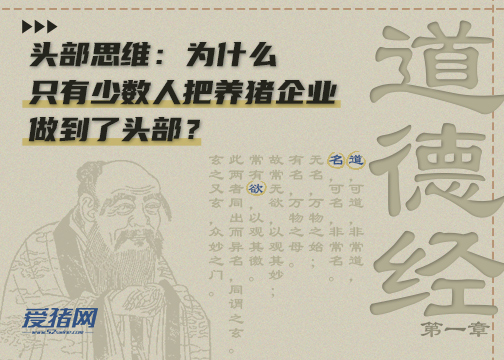 《道德经》| 头部思维：为什么只有少数人把养猪企业做到了头部？