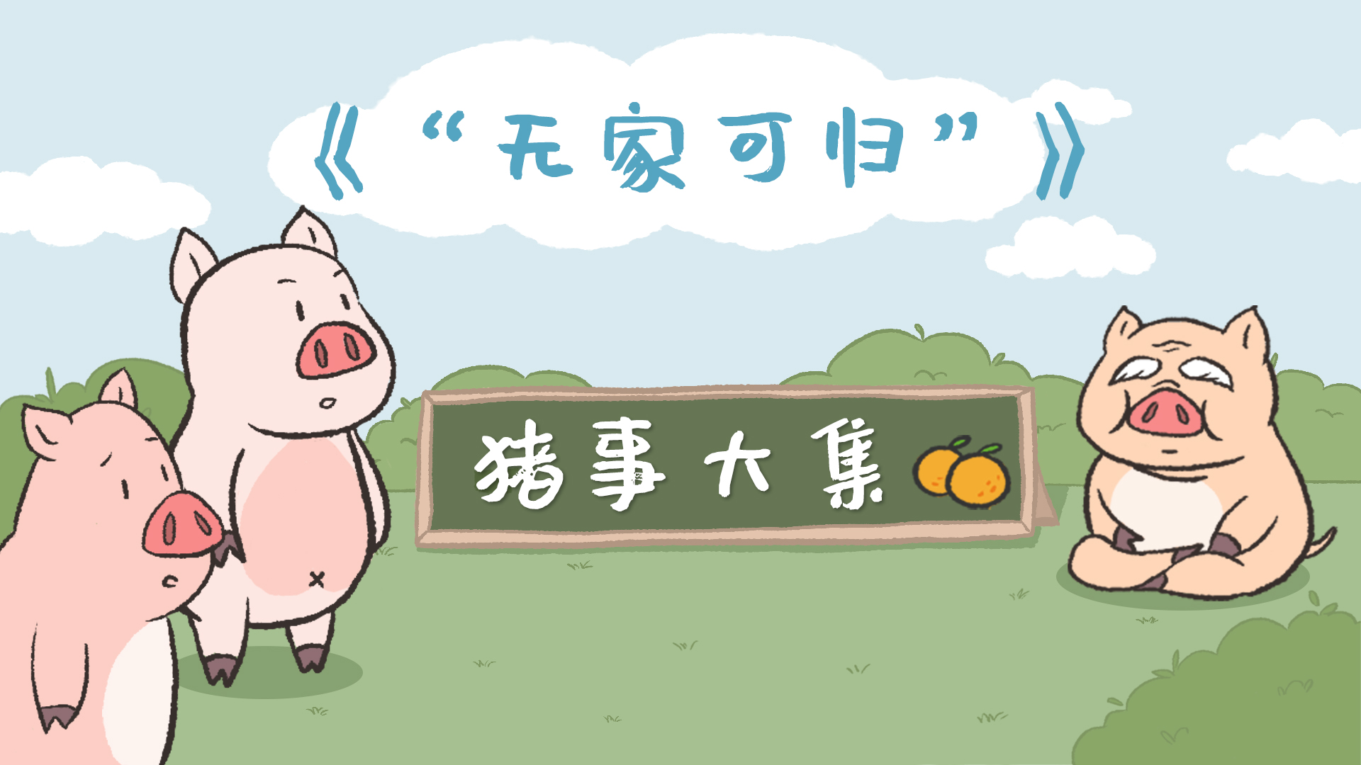 猪事大集丨第8集：“无家可归”
