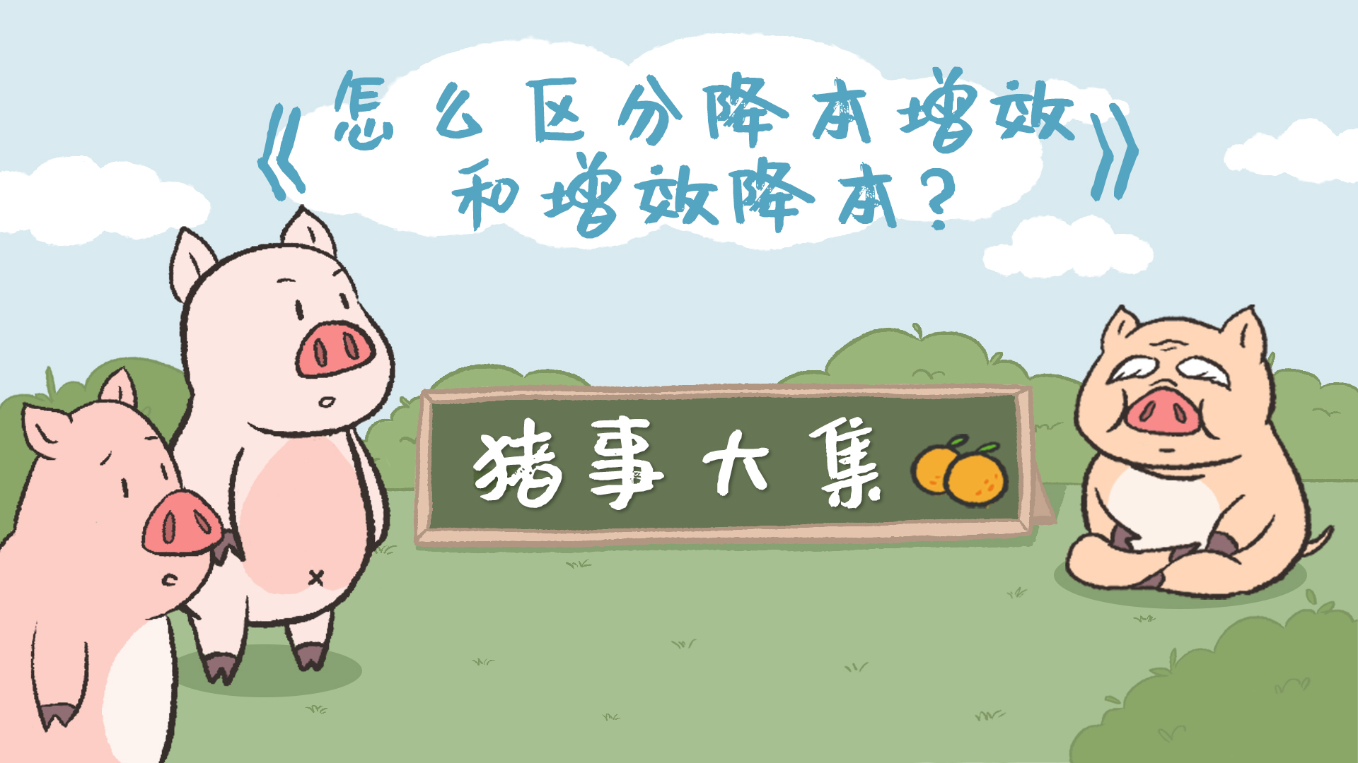猪事大集丨第3集：怎么区分降本增效和增效降本？
