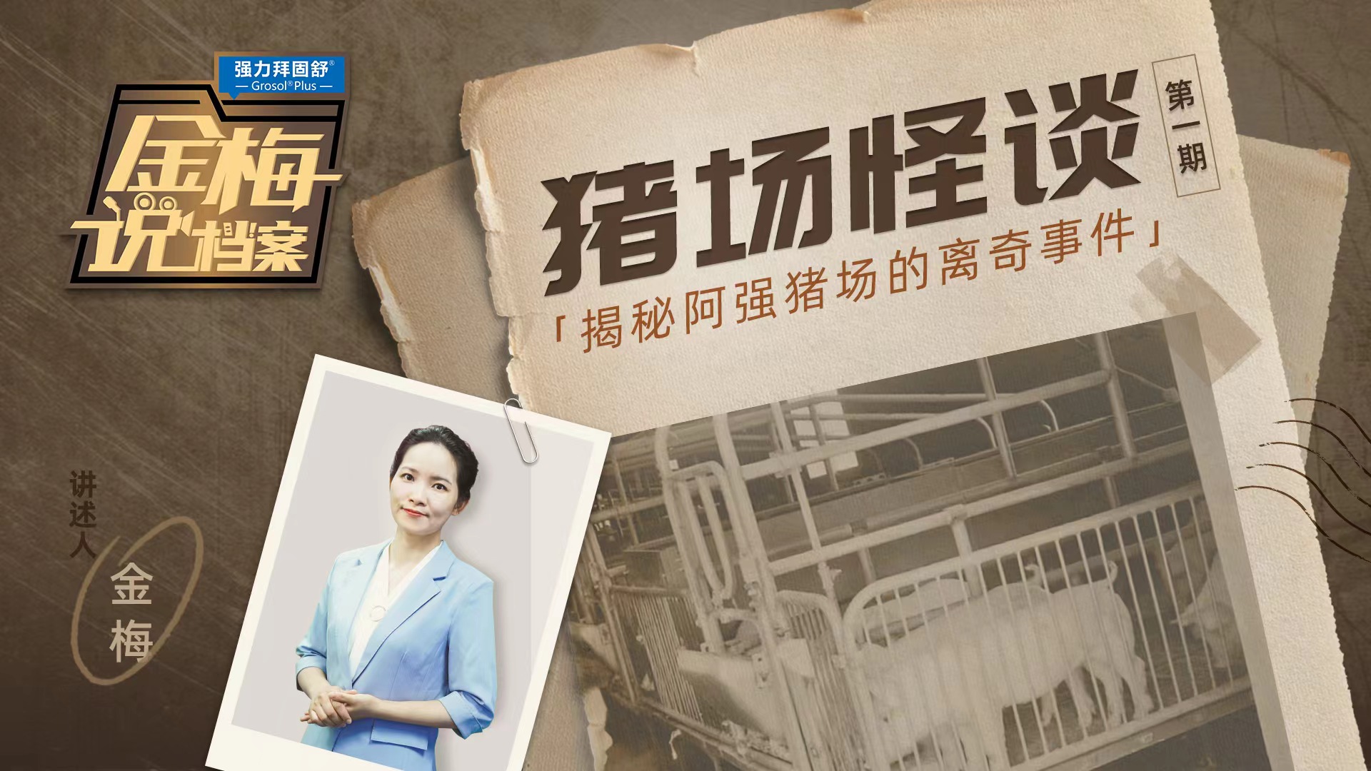《金梅说档案》第1期：猪场怪谈