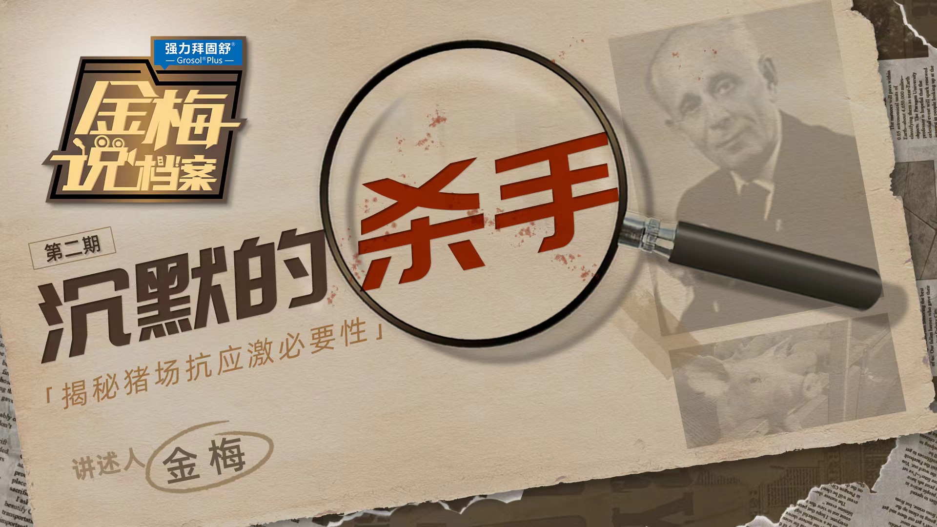 《金梅说档案》第2期：沉默的杀手