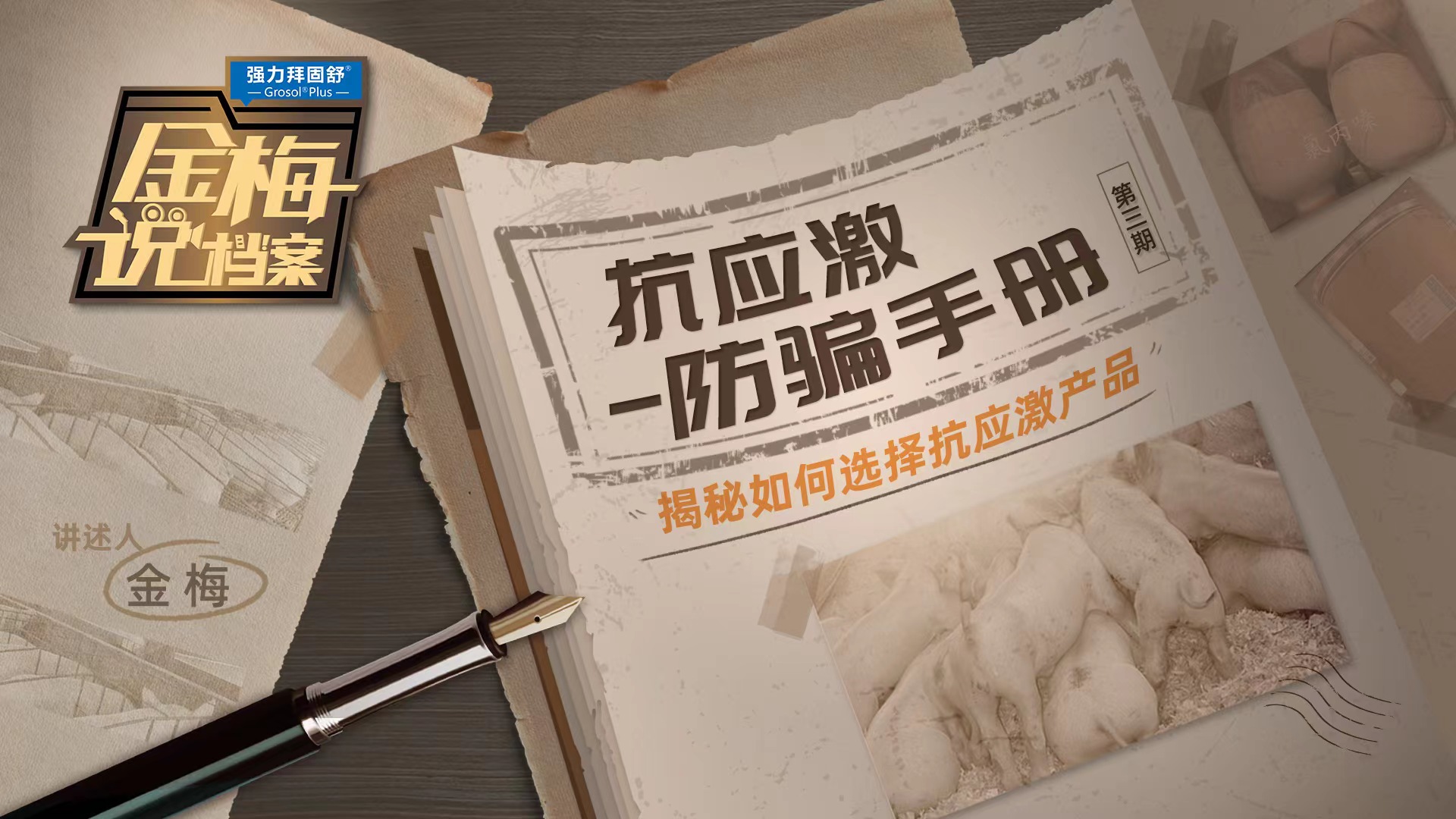 《金梅说档案》第3期：抗应激-防骗手册