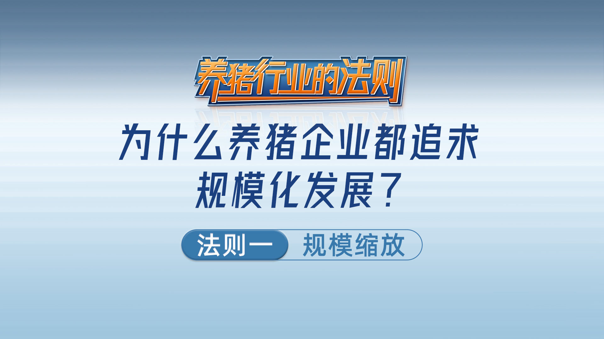 法则一：规模缩放——为什么养猪企业都追求规模化发展？