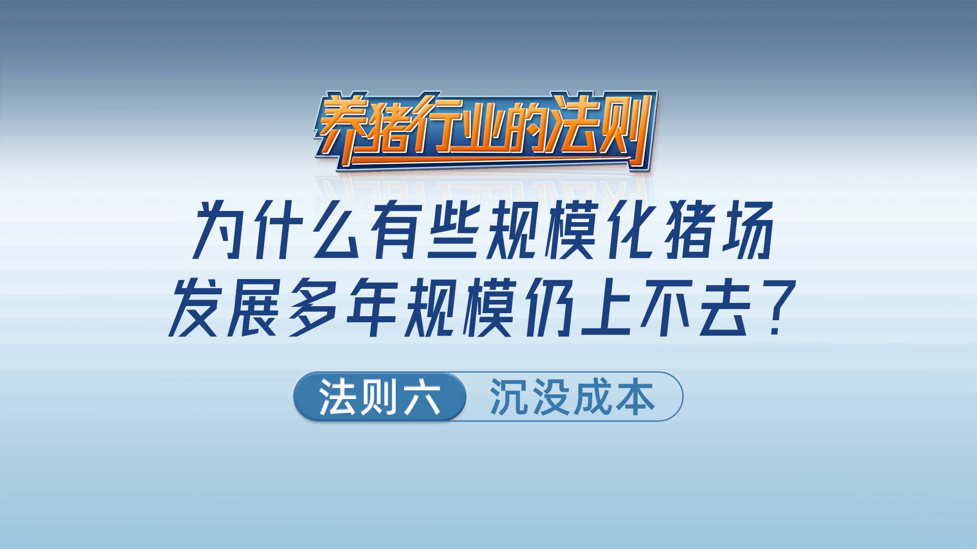 法则六：沉没成本——为什么有些规模化猪场发展多年规模仍上不去？