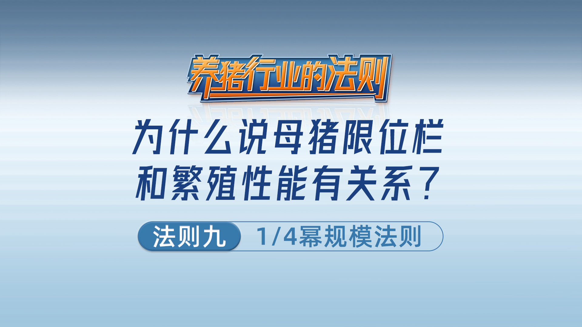 法则九：1/4幂规模法则——为什么说母猪限位栏和繁殖性能有关系？