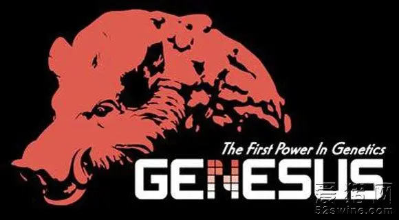 Yolanda Hou 加入 Genesus 东南亚公司