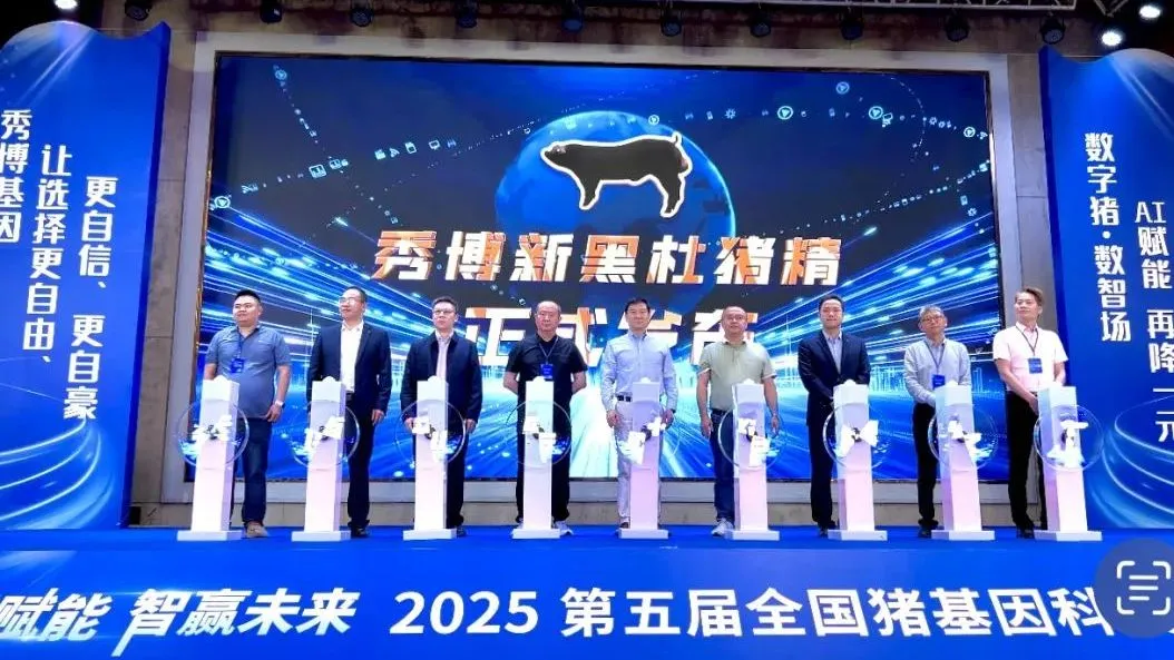 更黑更快更省！扬翔秀博基因发布新黑杜猪精！