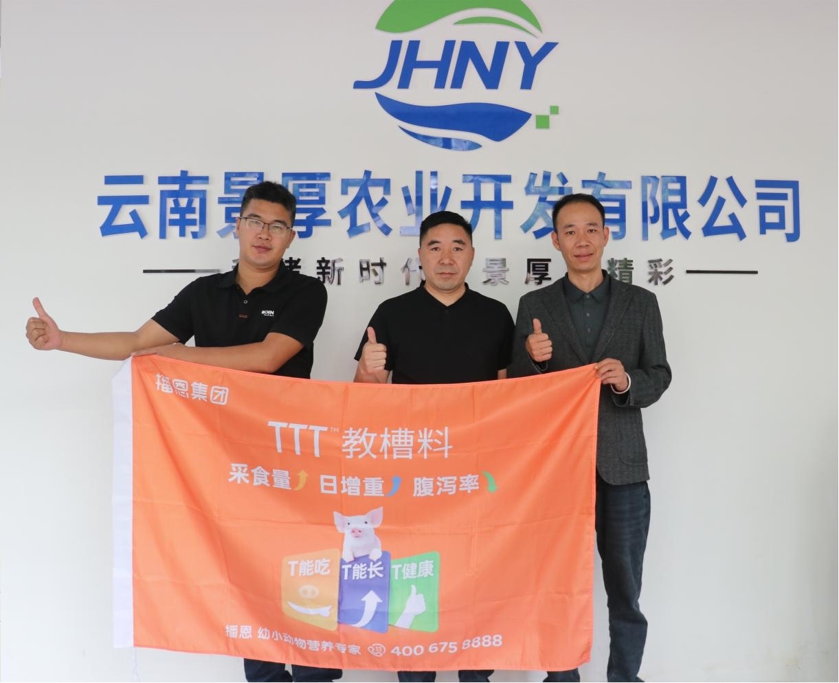探访云南种猪场：杨明涛的种猪事业与行业洞察