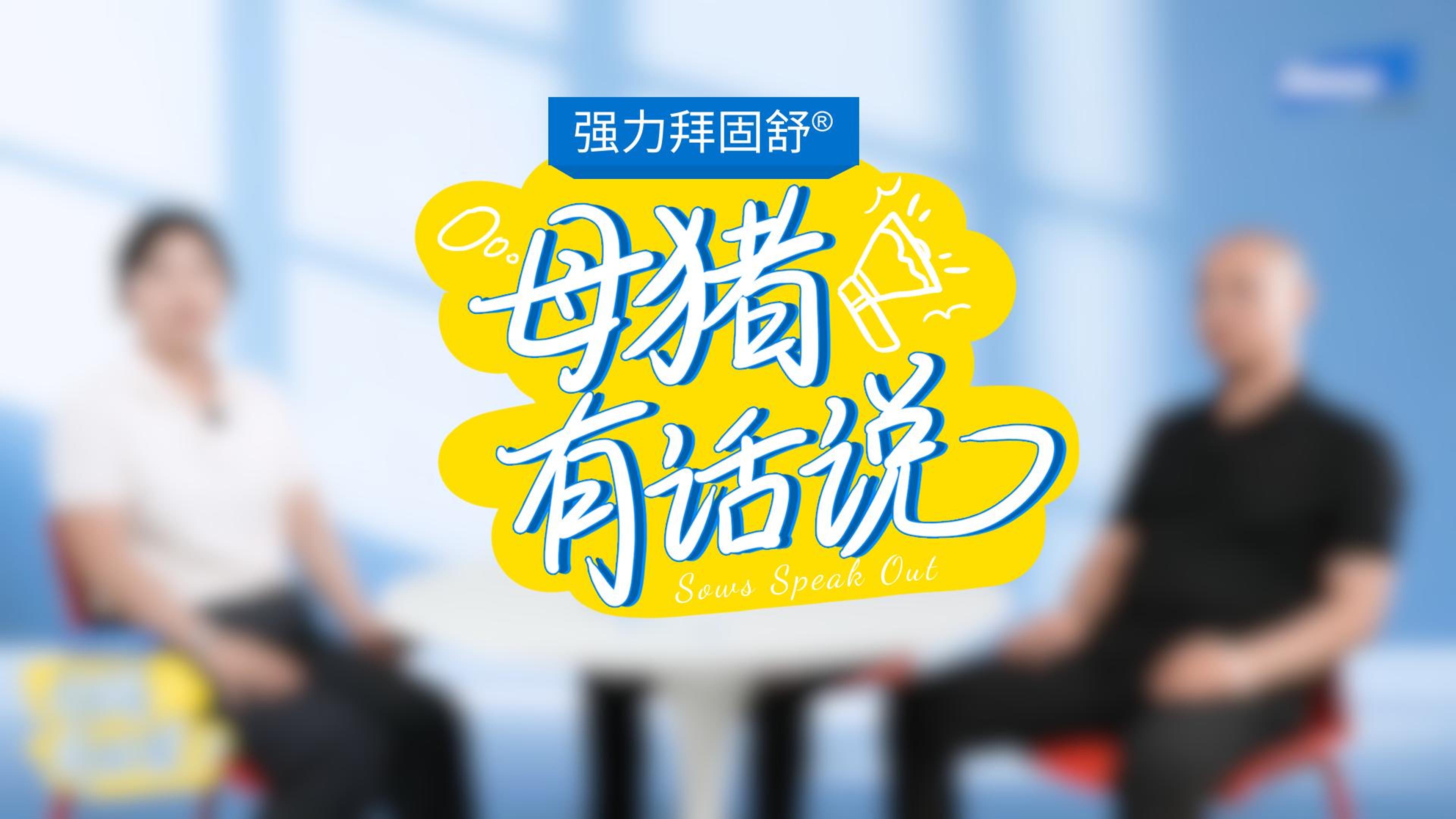 礼蓝抗应激专栏（一）：母猪有话说——提升高产母猪性能的秘技