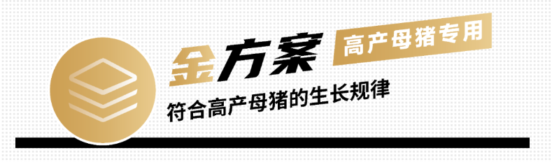 金方案.png