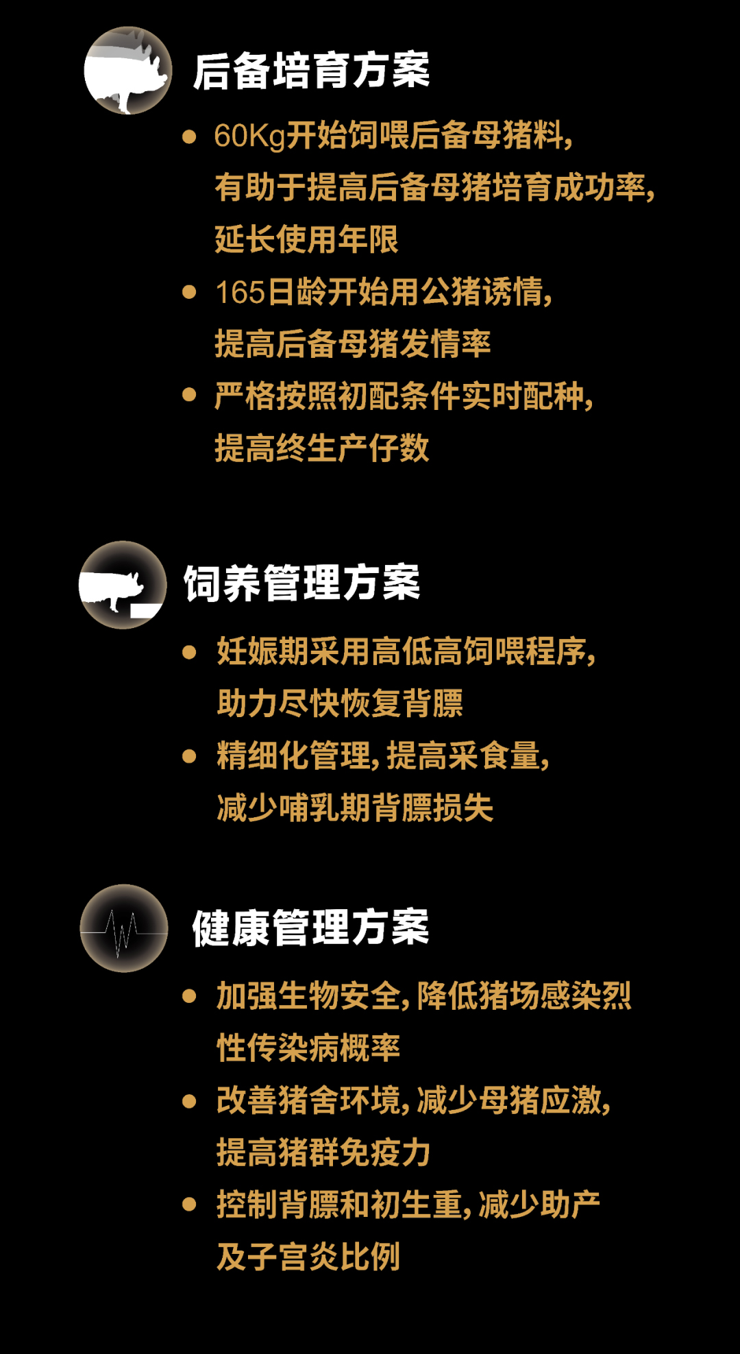 金方案2.jpg