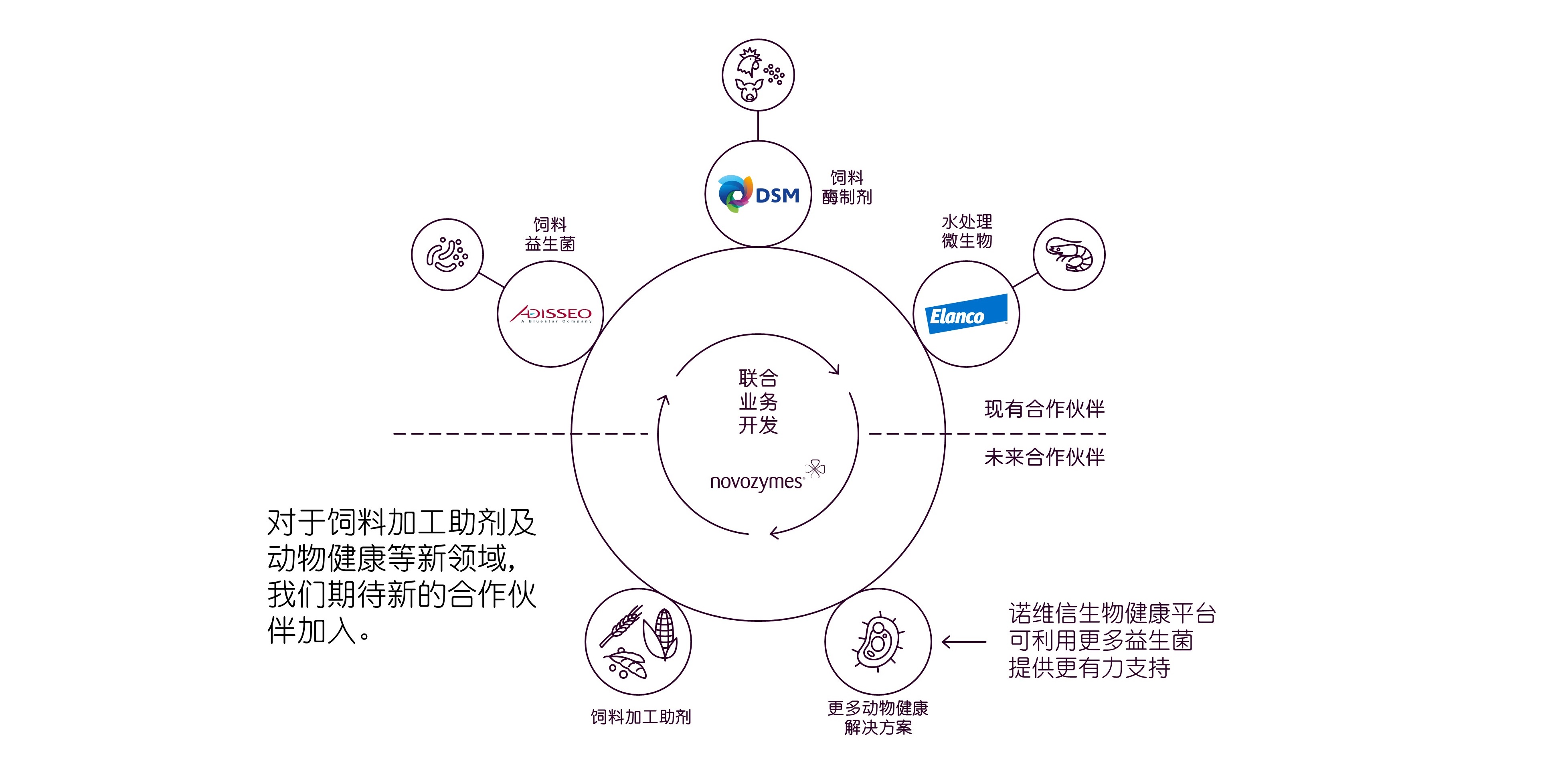 图：诺维信携手合作伙伴，打造降本增效的动物营养与健康解决方案.jpg