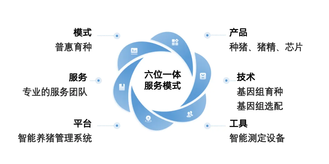 图片5.png