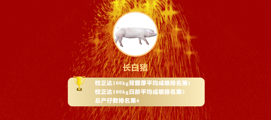 长白.png