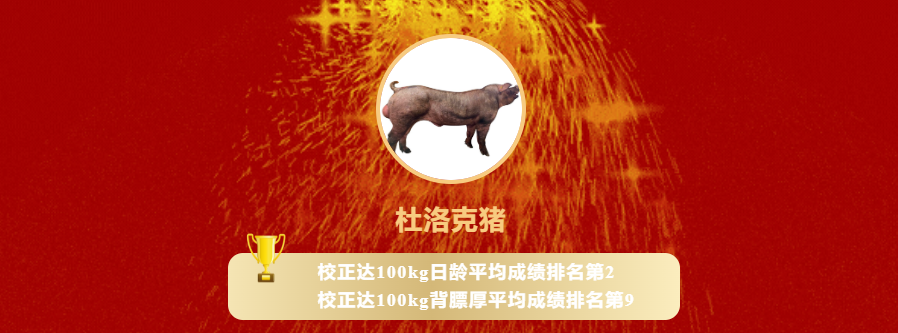 杜洛克.png