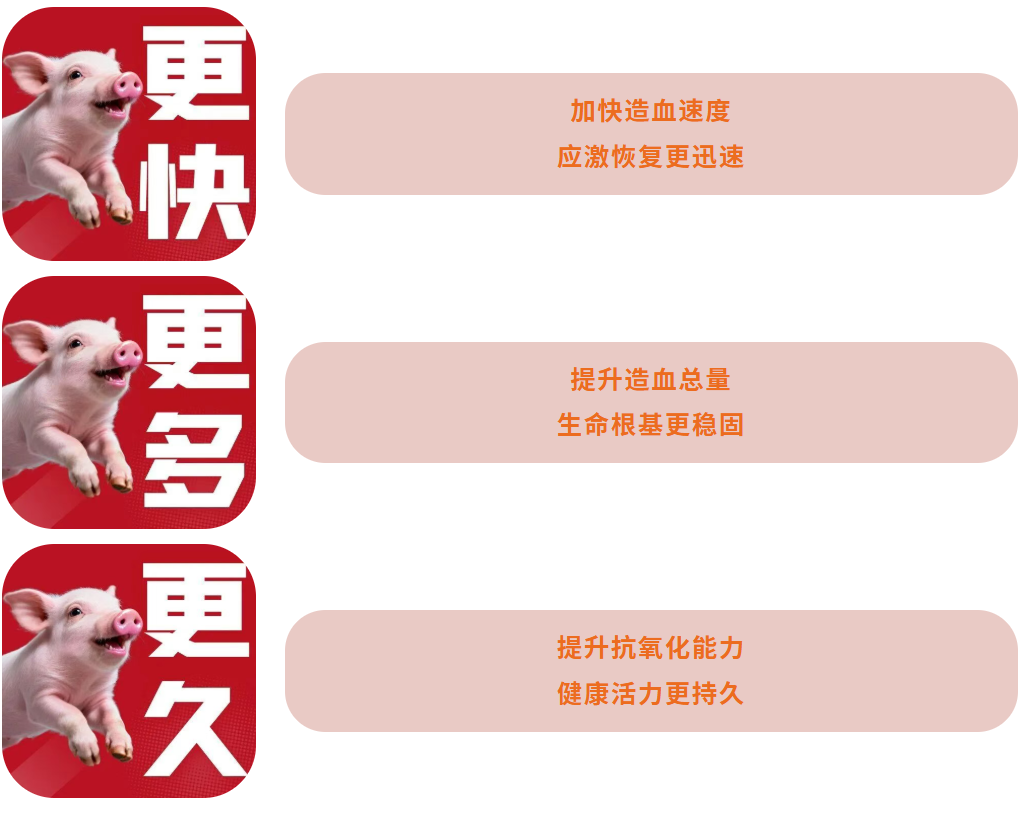 10.png