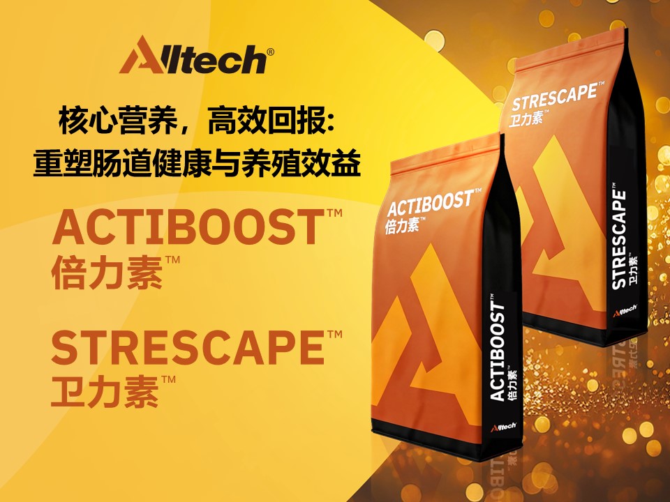 缩略图.jpg 缩略图.jpg